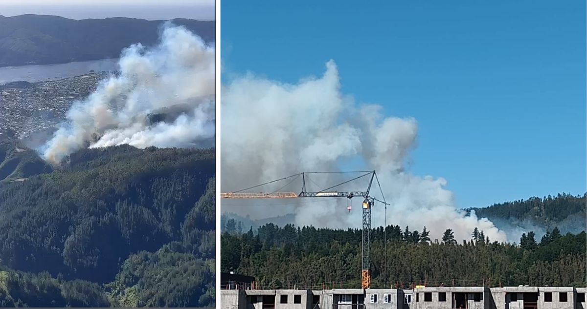 Decretan Alerta Roja para Chiguayante y Hualqui por incendio forestal