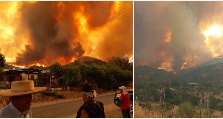 Incendio forestal en Quilpué
