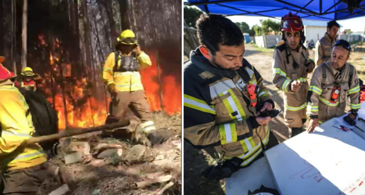 Sube a 80 hectáreas superficie afectada por incendio forestal en San Pedro de la Paz