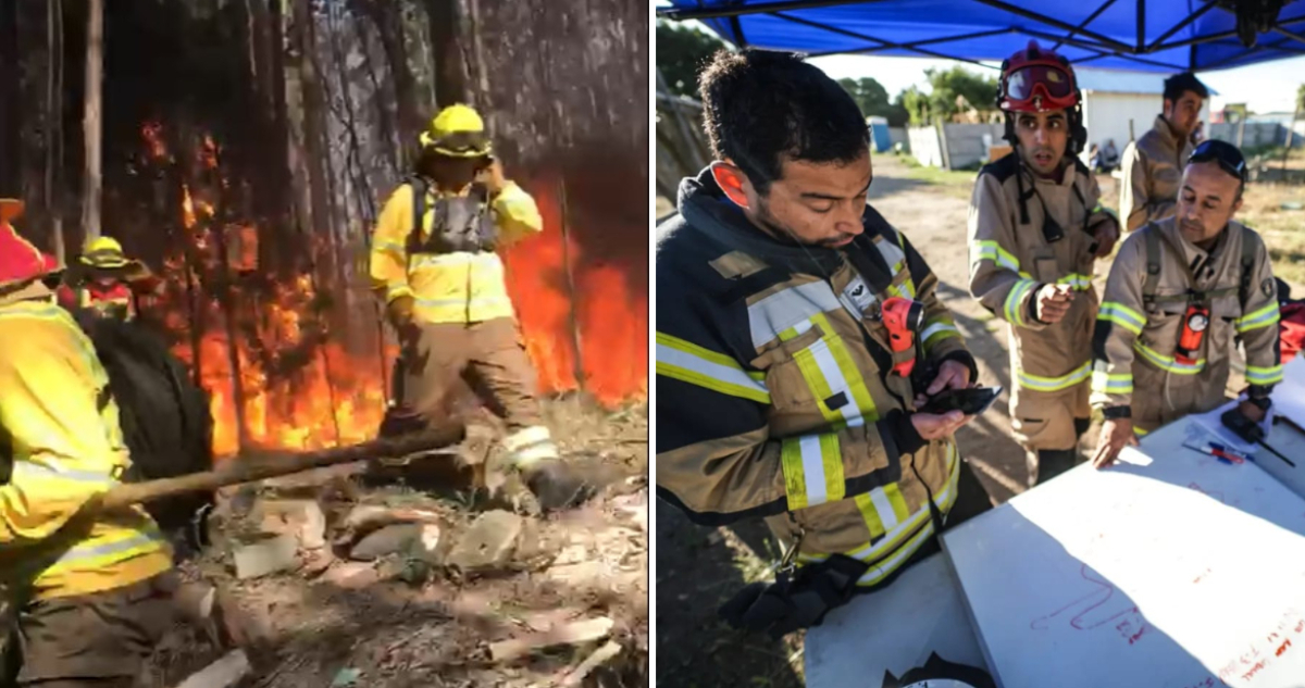 Sube a 80 hectáreas superficie afectada por incendio forestal en San Pedro de la Paz