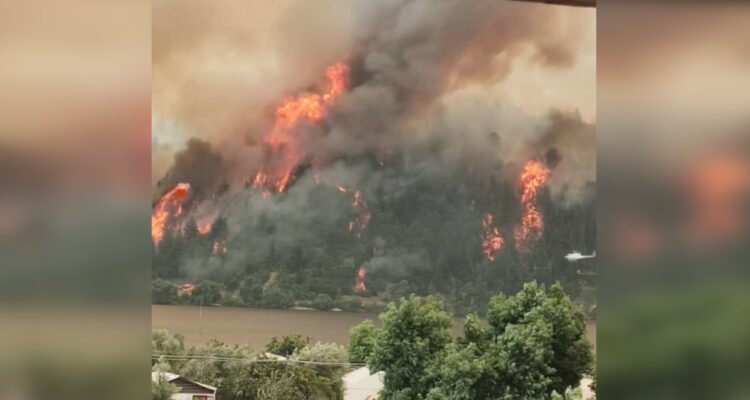 Incendio forestal entre Santa Juana y Nacimiento