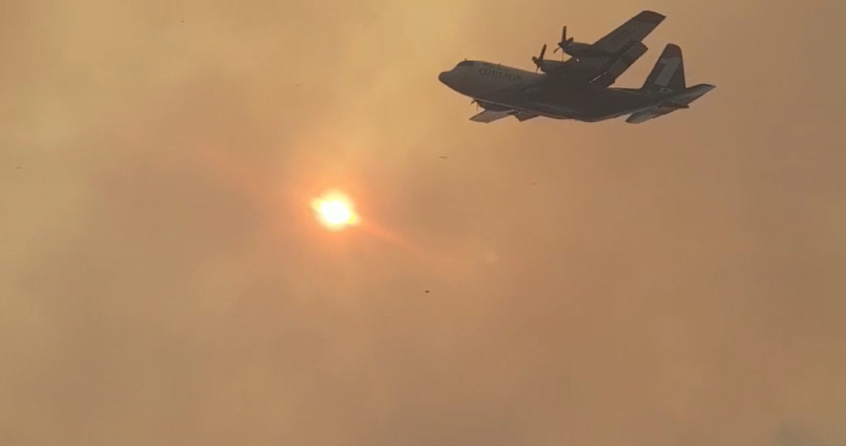 Incendio en Lumaco alcanza las 1.600 hectáreas: no se reportan daños a personas ni a viviendas