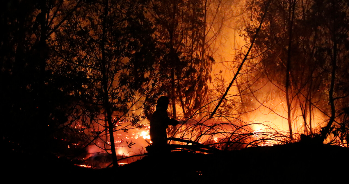 “Se vienen una noche de terror”: Alcalde de Nacimiento por incendio que ha consumido 4 mil hectáreas