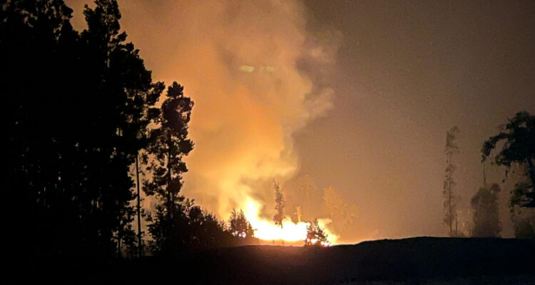 Incendio forestal sin control ha consumido cerca de 100 hectáreas en Paillaco