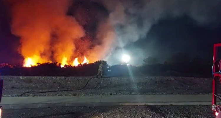 Bomberos trabaja en incendio en pastizales de Puerto Montt