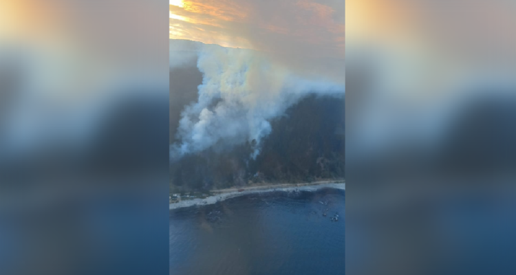 Por tercer día consecutivo se registran incendios forestales en sector sur de Tomé