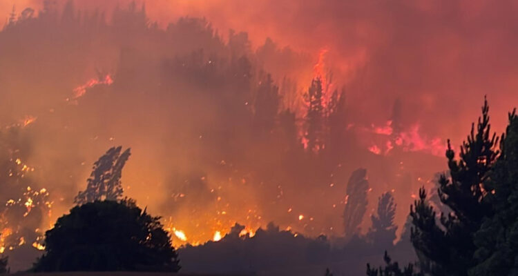 Bomberos de Yumbel combaten incendio forestal de rápido avance en Tomeco