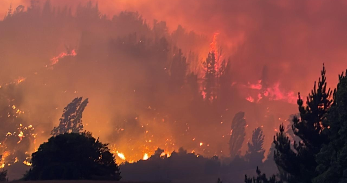 Bomberos de Yumbel combaten incendio forestal de rápido avance en Tomeco