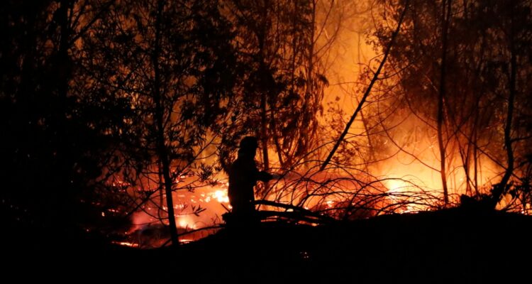 Incendio en Viña del Mar: Municipalidad de Puente Alto habilitará centro de acopio para reunir ayuda