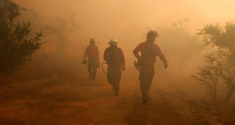 Cinco comunas se mantienen con alerta roja por incendios forestales en la región del Bío Bío