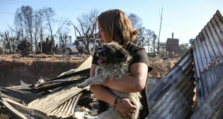 Gobierno afirma que 35% de incendios forestales registrados en las últimas horas son intencionales