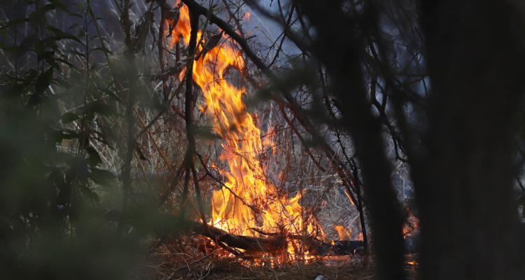 Nueve incendios forestales siguen activos y seis comunas se mantienen en Alerta Roja