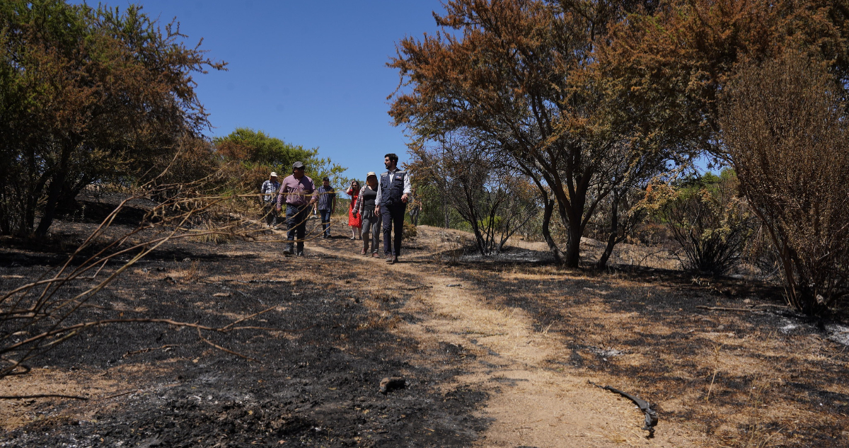 Incendios forestales: recomendaciones preventivas de Indap para la agricultura familiar