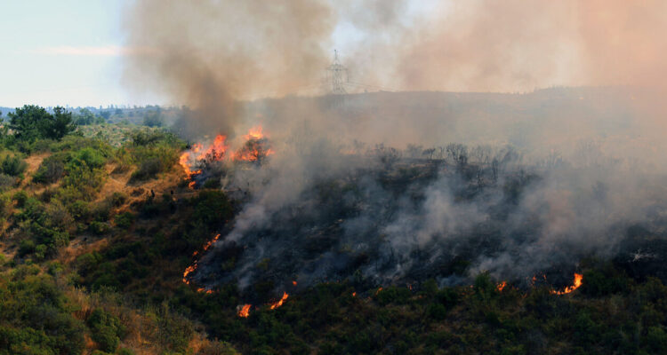 Intenso combate a incendios forestales en distintos puntos del país: hay 4 comunas en Alerta Roja