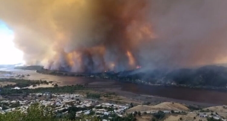 5 mil hectáreas afectadas, 20 casas y una escuela destruidas, dejan incendios forestales en el Bío Bío