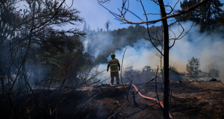 Balance Onemi por incendios forestales: 10 comunas en Alerta Roja y una persona lesionada