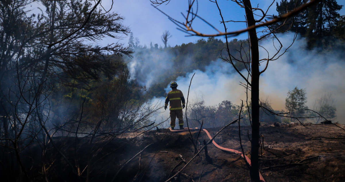 Balance Onemi por incendios forestales: 10 comunas en Alerta Roja y una persona lesionada