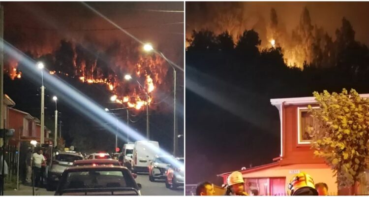 Incendios forestales en San Pedro de la Paz y Chiguayante