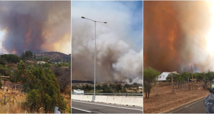 ALERTA AMARILLA POR INCENDIO FORESTAL EN REGIÓN DE VALPARAÍSO