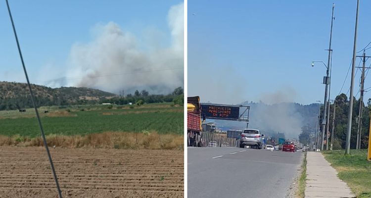 incendios forestales región Valparaíso
