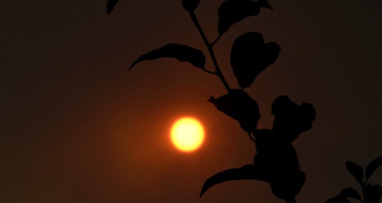 Onemi mantiene alerta amarilla en Valparaíso por incendios forestales ocurridos en simultáneo