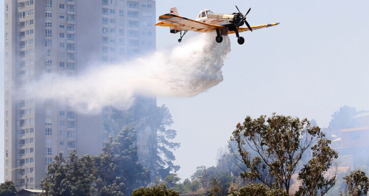 Un incendio forestal afecta a terrenos del antiguo parque Pumpin en el Cerro O’Higgins de Valparaíso.