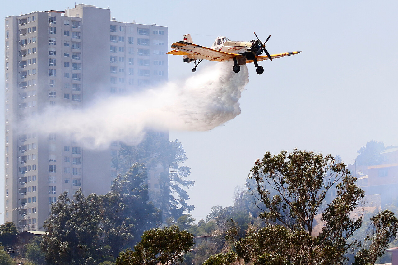 Un incendio forestal afecta a terrenos del antiguo parque Pumpin en el Cerro O’Higgins de Valparaíso.