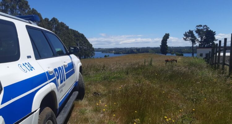 Intervención de terceros en muerte de joven en Calbuco