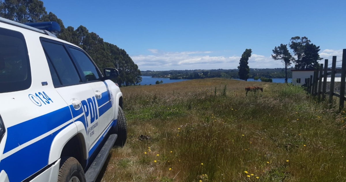 Intervención de terceros en muerte de joven en Calbuco