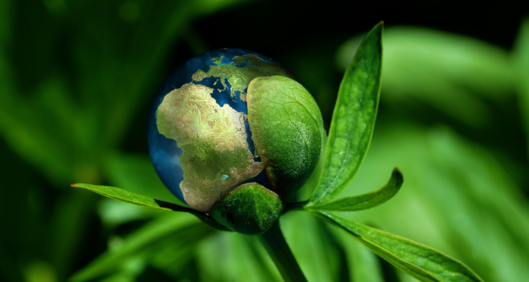 inversión sostenible