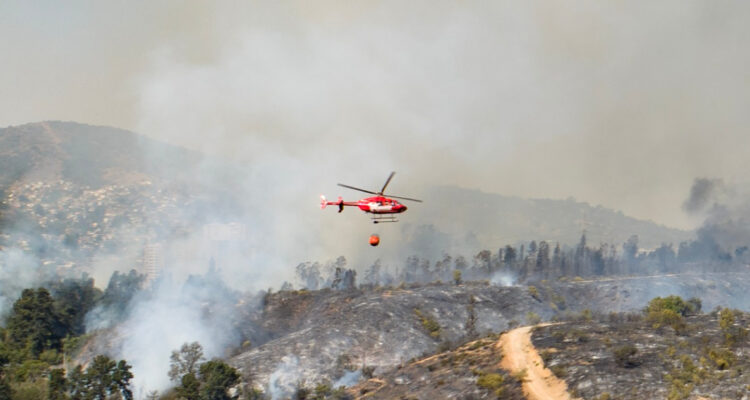 Ripamonti no descarta intencionalidad en incendio que afecta Jardín Botánico de Viña del Mar