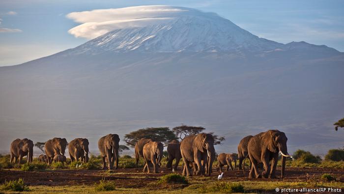Kilimankaro en Tanzania
