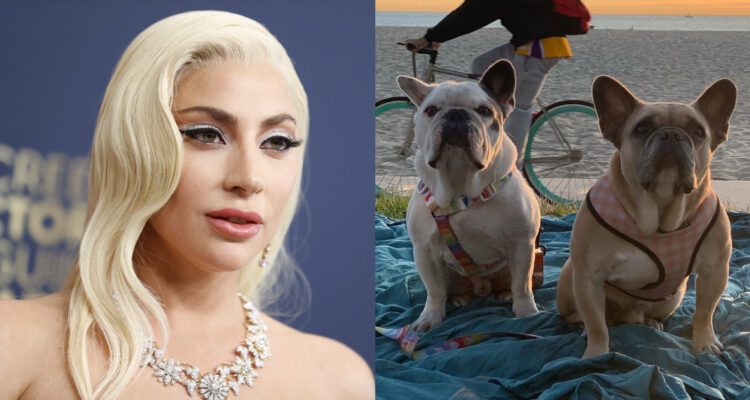 Lady Gaga posa en la alfombra roja de unos premios de música, a su lado, una fotografía de dos de sus perros en la playa.