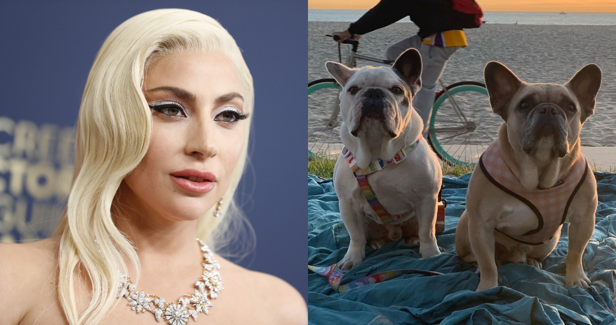 Lady Gaga posa en la alfombra roja de unos premios de música, a su lado, una fotografía de dos de sus perros en la playa.