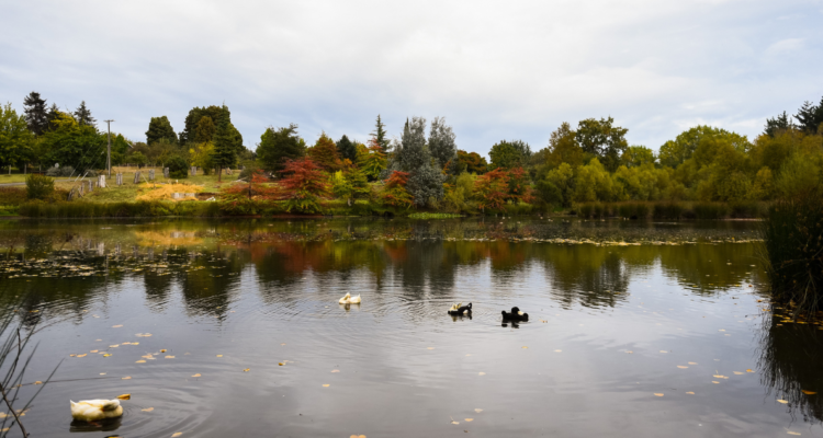 ley para la naturaleza