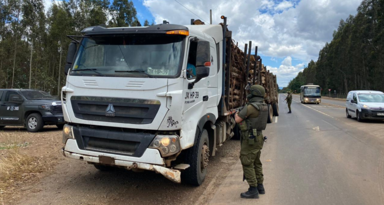 Libre y con bajas medidas cautelares queda hombre detenido por denuncia de robo de madera en Angol