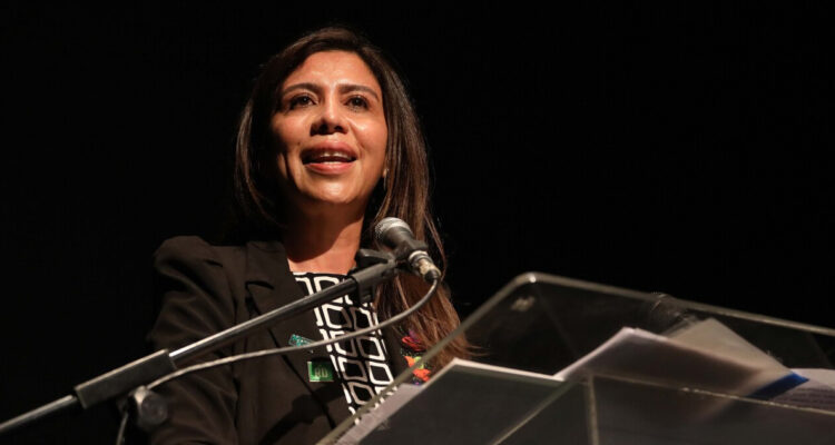 Gobierno nombra nuevos embajadores: Diplomáticos de carrera y expresidenta de Revolución Democrática