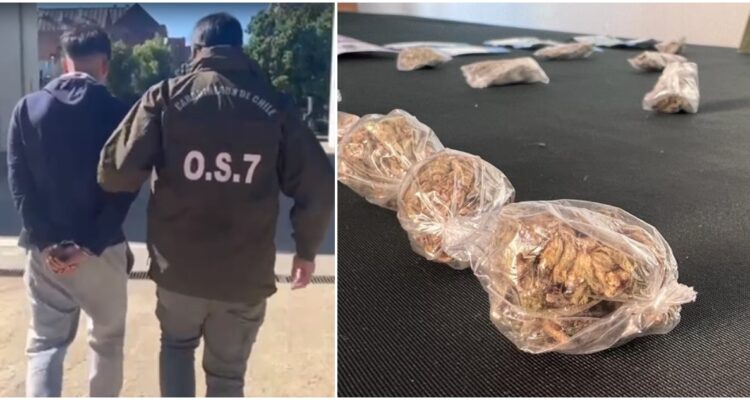 Detienen a joven que vendía droga al interior de la UdeC
