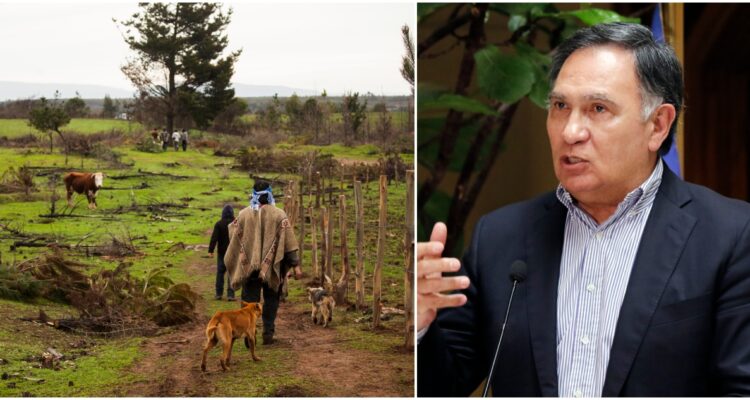 Mellado pide a Contraloría indagar presunta venta de tierras usurpadas a comunidades indígenas
