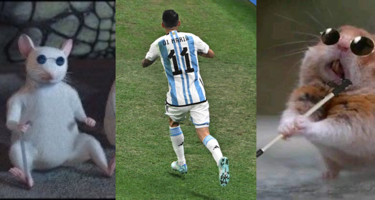 Memes y fotografía de Di María, jugador de Argentina. Polémico penal a Argentina tras no revisión del VAR