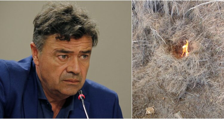 MInistro por intencionalidad de incendios forestales