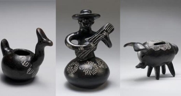 Museo de Historia Natural de Concepción