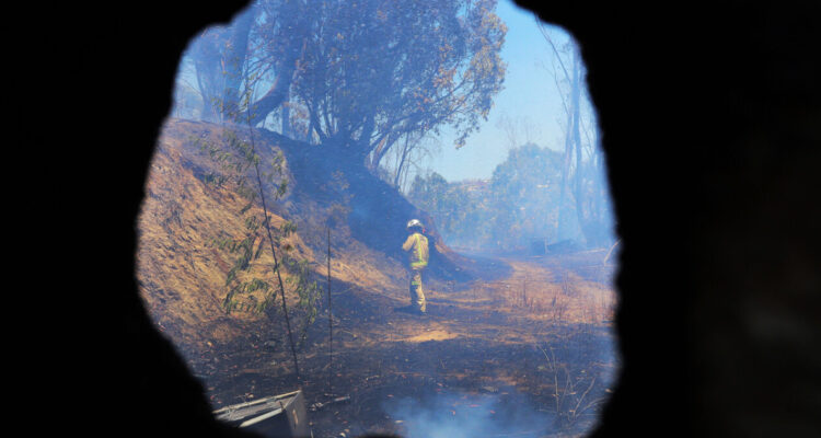 Decretan Alerta Roja para Nacimiento por incendio forestal: más de 100 hectáreas afectadas