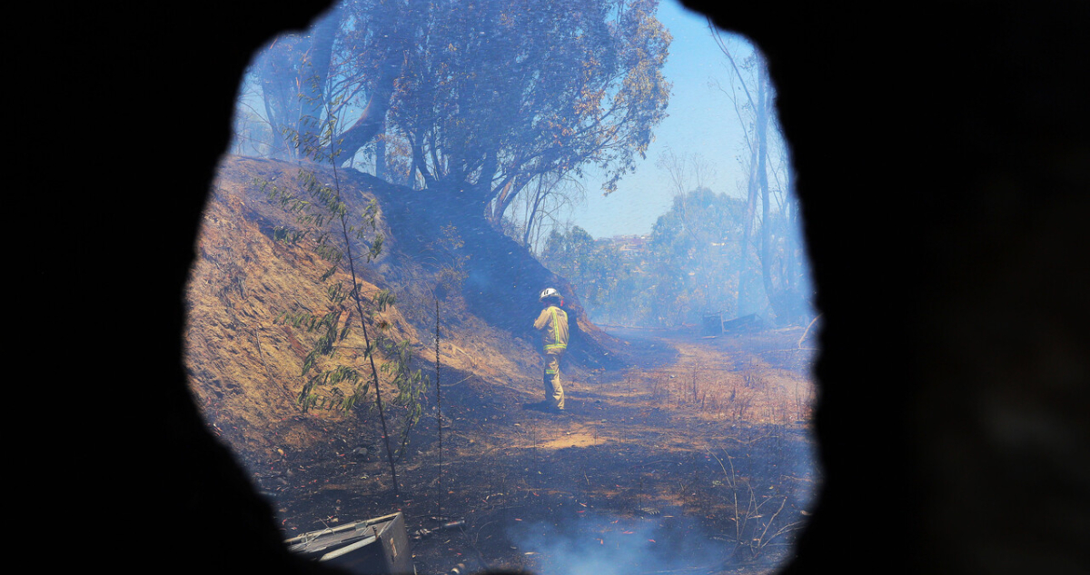 Decretan Alerta Roja para Nacimiento por incendio forestal: más de 100 hectáreas afectadas