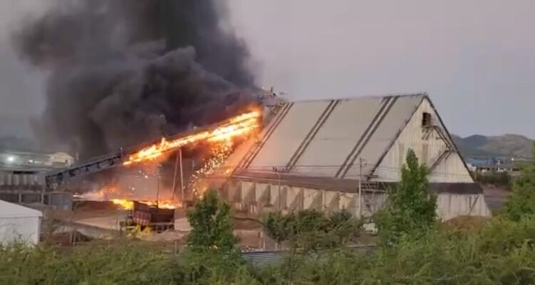 Incendio afecta dependencias de la planta celulosa Nueva Aldea