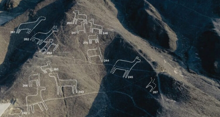 Nuevos geoglifos en Nazca