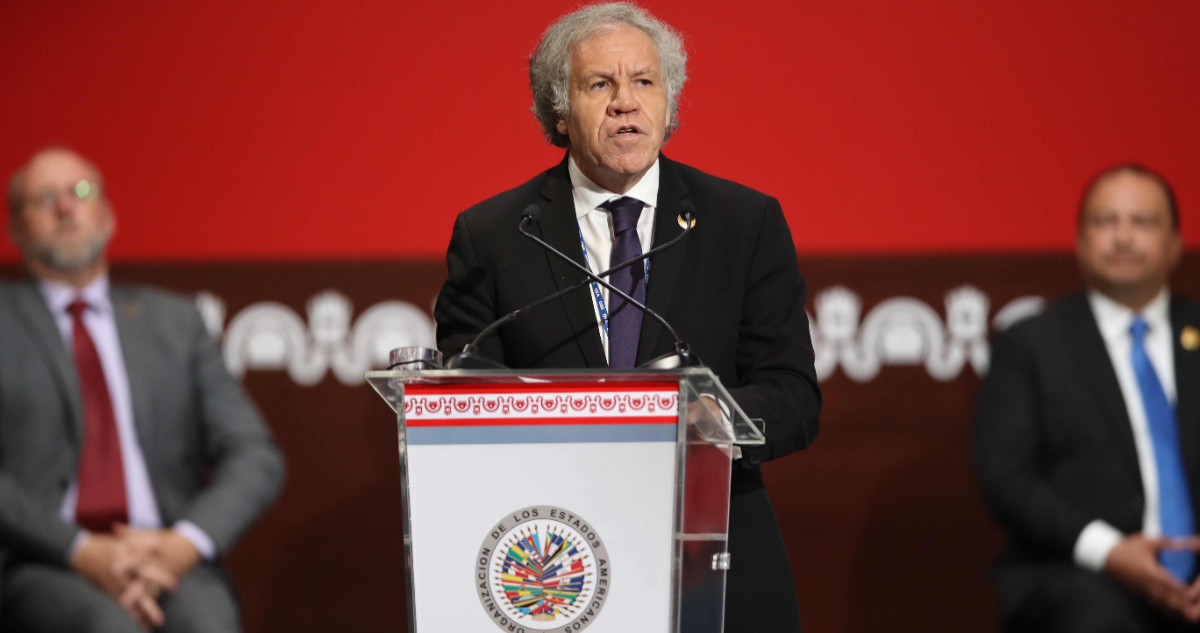 OEA rechaza las acciones de Castillo y llama al diálogo en Perú
