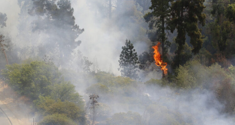 REFERENCIAL | Agencia UNO