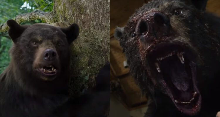 Lanzan tráiler de Cocaine Bear, sobre historia real de un oso intoxicado con cocaína