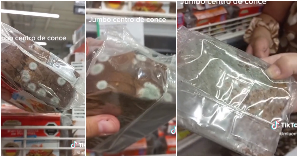 Panes con hongos en Jumbo Concepción